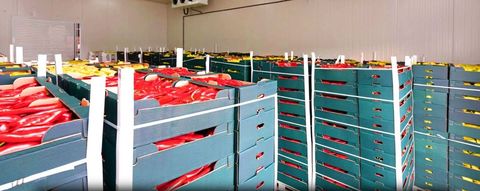 Guide to Cold Storage Features: Temperature Monitoring & Backup Systems